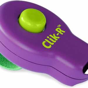 Clickers