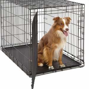 Double Dog Wire Kennel