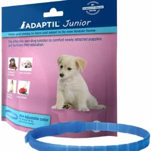 Adaptil Calm On-The-Go-Collar for Dogs