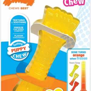 Nylabone Puppy Chew Freezer Dog Toy Lamb & Apple Flavor
