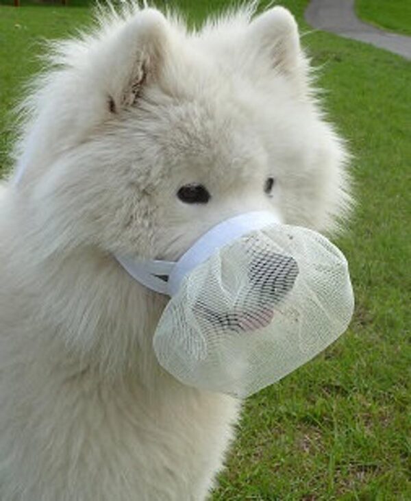 soft dog muzzle