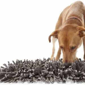 PAW5: Wooly Snuffle Mat - Feeding Mat for Dogs (12" x 18")