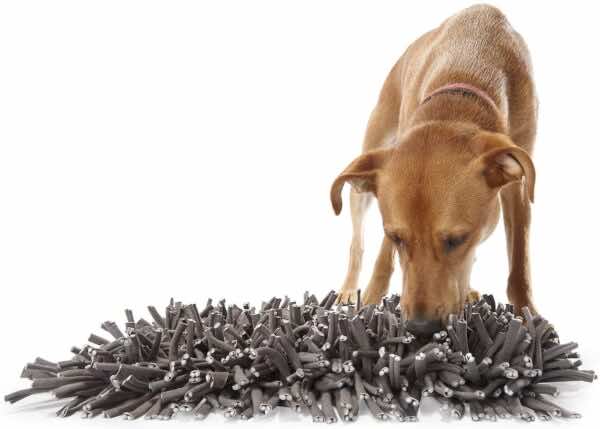 PAW5: Wooly Snuffle Mat - Feeding Mat for Dogs (12" x 18")