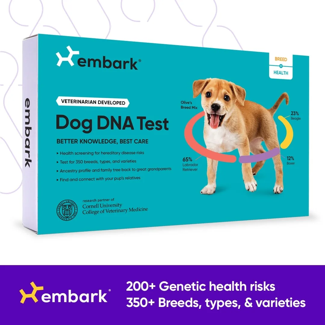 Embark Dog Breed Get My Dog's Dna Tested Embark Dog Dog