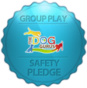 Group-play-safety-pledge